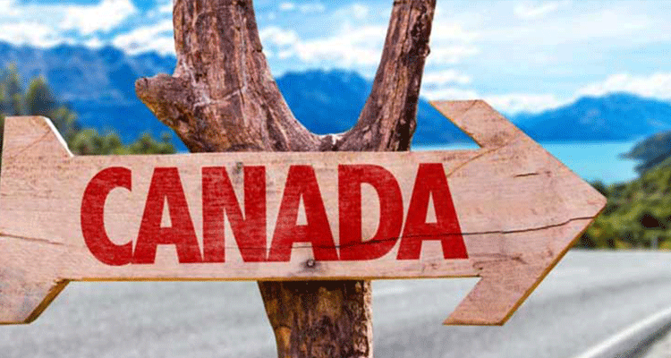 برنامه‌ریزی برای مهاجرت به کانادا: از آمادگی مدارک تا زبان